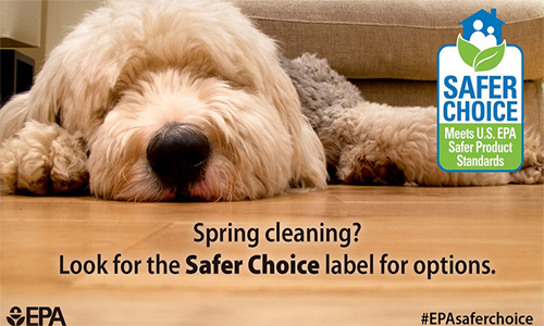 Do Your Household Cleaners Have the EPA’s Safer Choice Label?