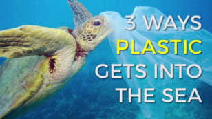 Pledge to End Ocean Plastics