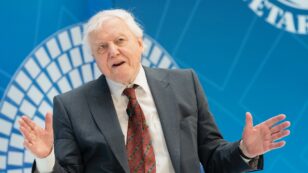 David Attenborough Calls For Ban on Deep-Sea Mining
