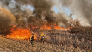 Wisconsin Declares State of Emergency Due to High Wildfire Risk
