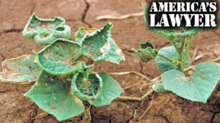 Mike Papantonio: Monsanto Is Wreaking Havoc Again