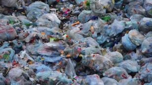 World’s Plastic Waste Problem Now Predicted to Reach 111 Million Metric Tonnes by 2030
