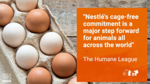 Nestlé, the World’s Largest Food Company, Switching to Cage-Free Eggs