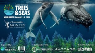 First-Ever Trees & Seas Festival Launches Today