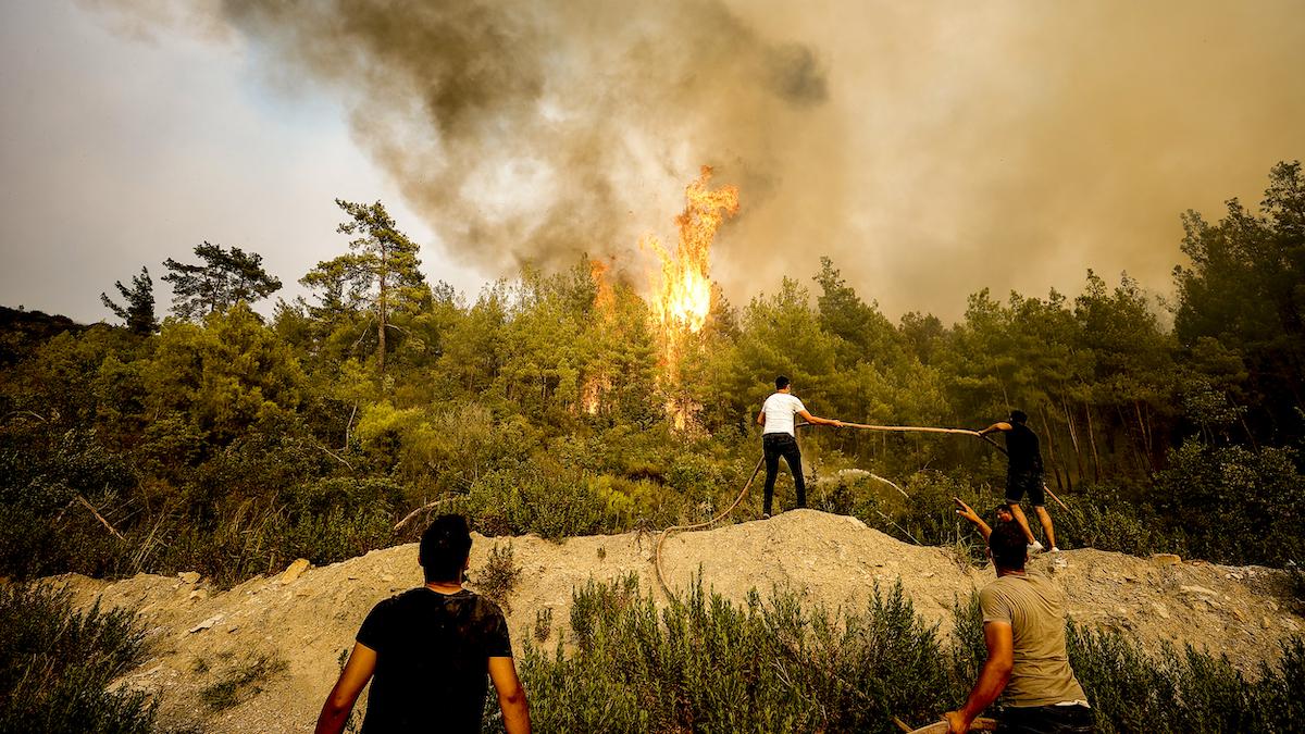 Forest fires broke out in Turkey.