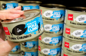Attention Shoppers! ‘Pole and Line’ Is Today’s Eco-Friendliest Canned Tuna Label
