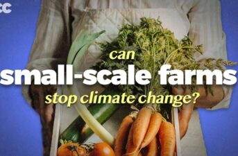 Can Small-Scale Farming Feed the World and Stop Climate Change?