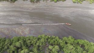 60,000 Liters of Oil Spills From Pipeline Into Brazilian Bay