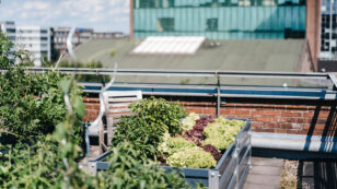 16 Initiatives Changing Urban Agriculture Through Tech and Innovation