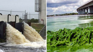 More Chemicals Allowed in Florida Waterways, Toxic Algae Blooms Continue to Spread Across State