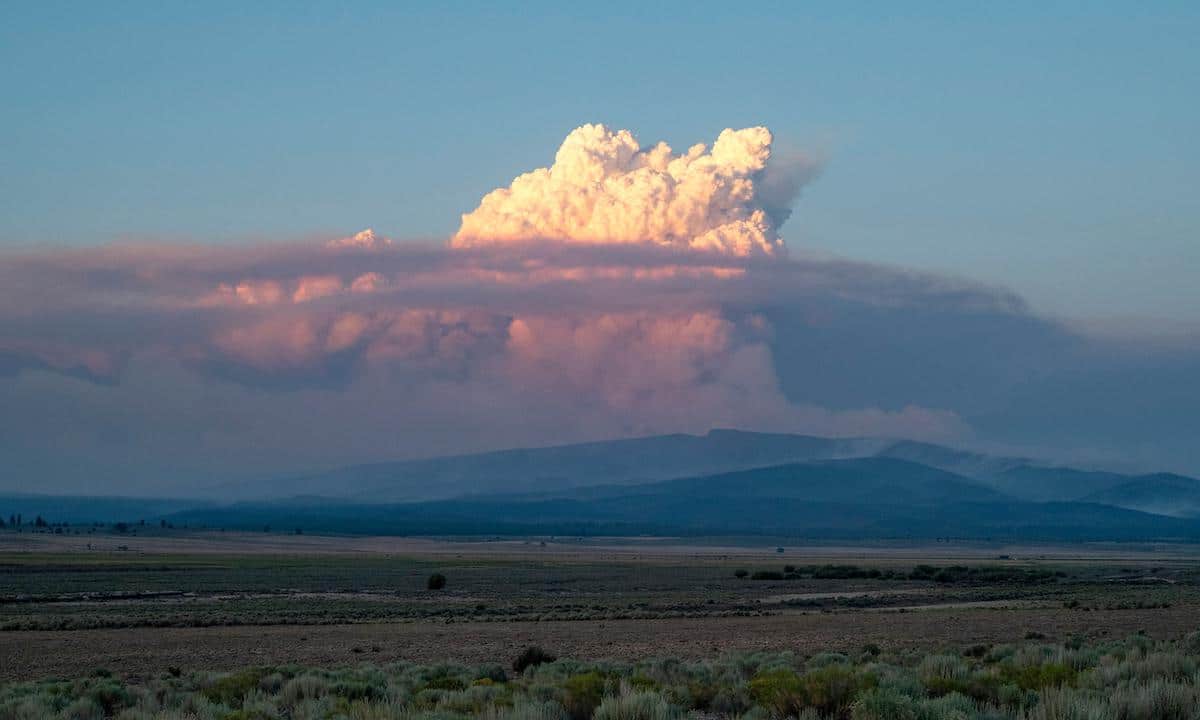 A pyrocumulus cloud from the Bootleg Fire.