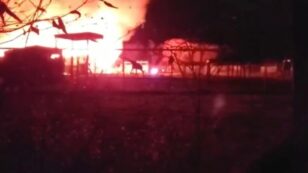 10 Animals Killed in Fire at Ohio Wildlife Park