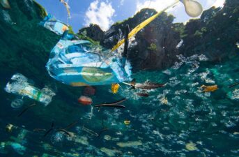 Ocean Plastic: What You Need to Know