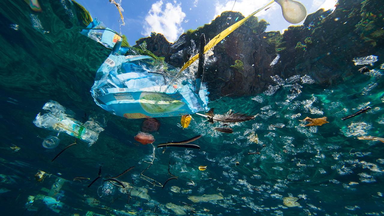 Ocean Plastic: What You Need to Know - EcoWatch