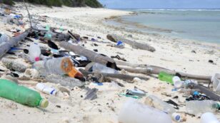 Plastic Pollution Raises Beach Temperatures, Threatening Marine Life, Study Finds