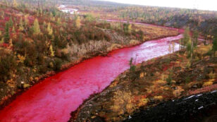 Russian River Turns Red After Suspected Chemical Spill
