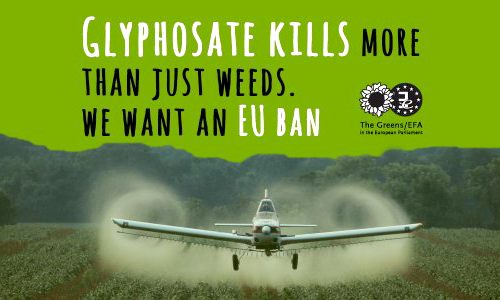 EU Fails to Approve ‘Technical Extension’ for Weed-Killer Glyphosate