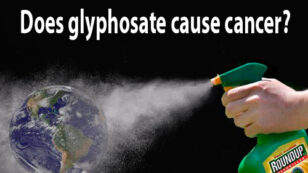 Does Glyphosate Cause Cancer?