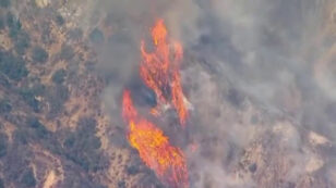 Wildfire in LA Burns 7,000 Acres During Record-Setting Heat Wave