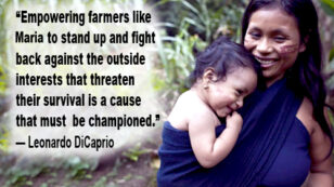 Leonardo DiCaprio Invests in Runa, Donates All His Shares to Ecuadorian Farmers