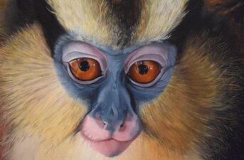 Stunning Paintings Send Strong Message on Need to Protect Primates