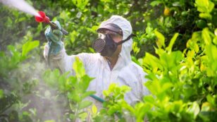 64% of World’s Farmland at Risk From Pesticide Pollution, Study Finds