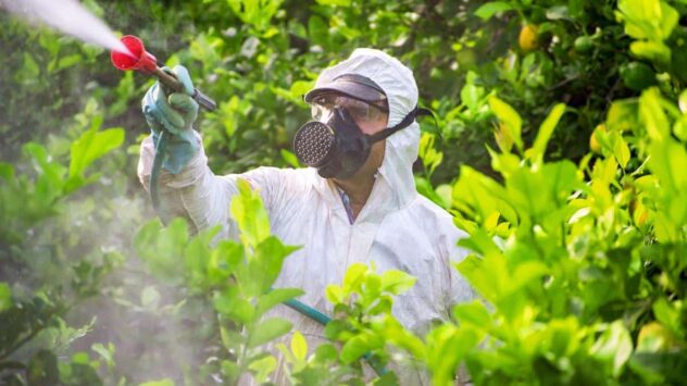 64% of World’s Farmland at Risk From Pesticide Pollution, Study Finds