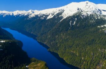 Trump to Remove Protections for Tongass National Forest, the ‘Lungs of North America’