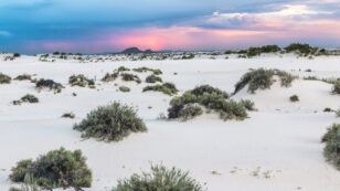 White Sands in New Mexico Is the Latest U.S. National Park