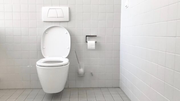 Trump Makes Strange Claim About Water Efficient Toilets: ‘People Are Flushing Toilets 10 Times, 15 Times’