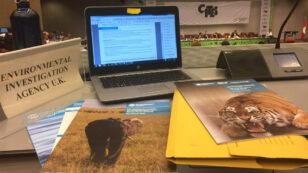 The Good, the Bad and the Endangered: Wildlife Wins and Losses at CITES Standing Committee