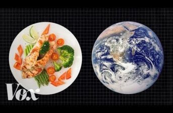 Your Food Has a Climate Footprint: Here’s What You Can Do About It