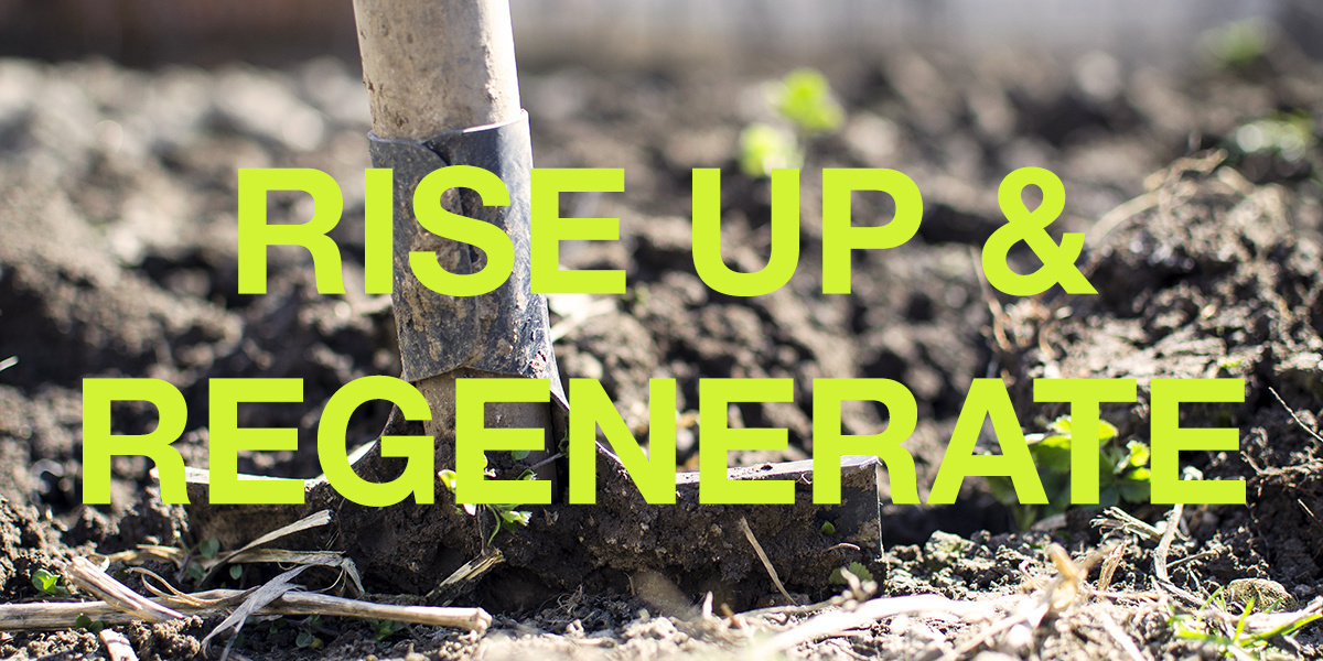 Let’s Make 2018 the Year We Rise Up and Regenerate!