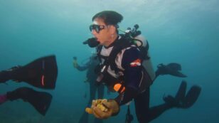 NFL Green Tackles Coral Restoration Project in Florida Ahead of Super Bowl LV