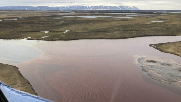 20,000 Ton Oil Spill in Russian Arctic Has ‘Catastrophic Consequences’ for Wildlife