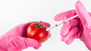 Will More GMO Foods Be Approved Under FDA’s New Leadership?