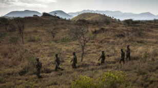 The Most Valued Anti-Poaching Equipment May Surprise You