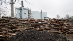 Is Biomass Energy Renewable?