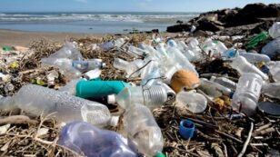 Prince Charles: It’s Time to Solve the ‘Human Disaster’ of Plastics in the World’s Oceans