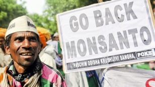 Vandana Shiva: Make Monsanto Pay