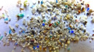 UK Bans Microbeads to Protect Oceans as Lawmakers Eye More Anti-Plastic Laws