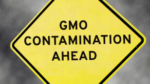 ​GMO-Ethanol Corn Contaminates Non-GMO White Corn Used in Tortillas