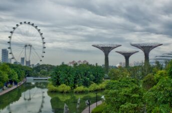 Singapore Will Plant One Million Trees by 2030