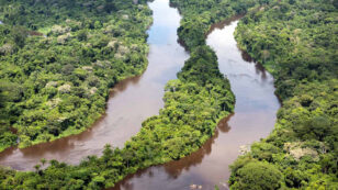 Brazil Backs Off Controversial Plan to Open Amazon Forest to Mining