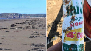 You Won’t Believe the Age of This Plastic Bottle Found on a UK Beach