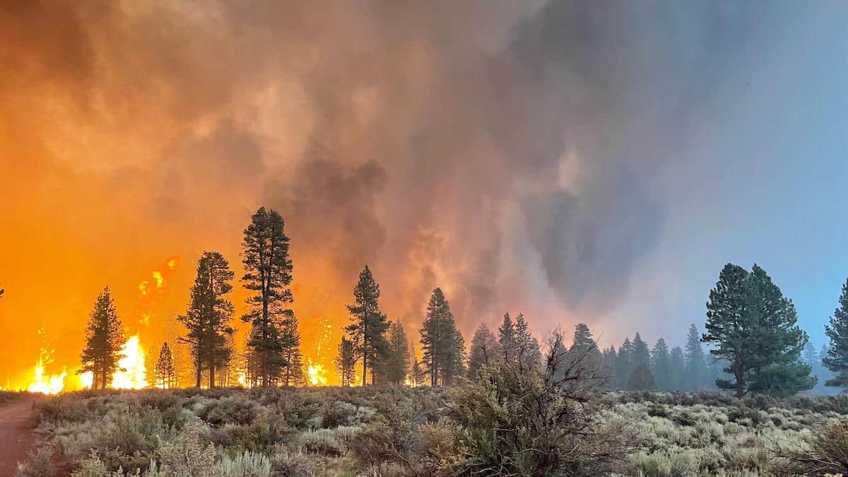 80 Wildfires Rage Across West, Bootleg Fire Burns Over 300,000 Acres