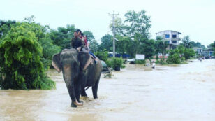 Elephants Rescue Hundreds of People From Nepal Floods