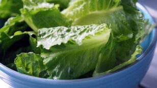 CDC Issues Stern Order for Romaine Lettuce Recall