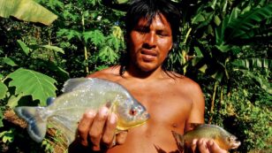 Award-Winning Doc ‘Yasuni Man’ Is Now Available to Stream for the First Time