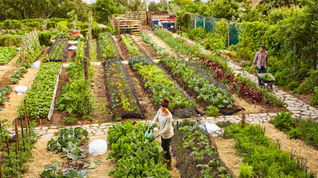 For a Sustainable Climate and Food System, Regenerative Agriculture Is the Key